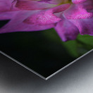 Flower 22 Metal print