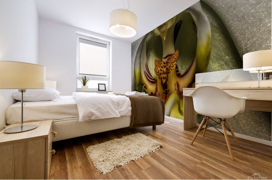 Flower 23 Mural print