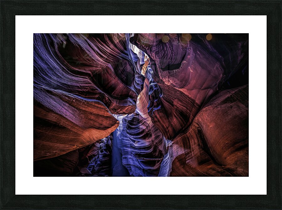 Antelope 14 Picture Frame print