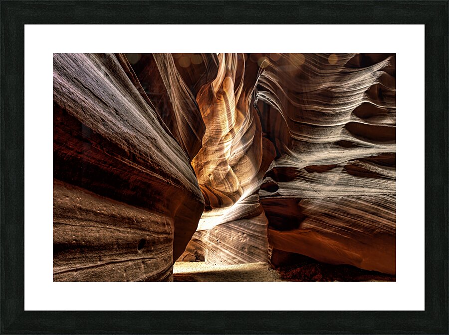 Antelope 4 Picture Frame print