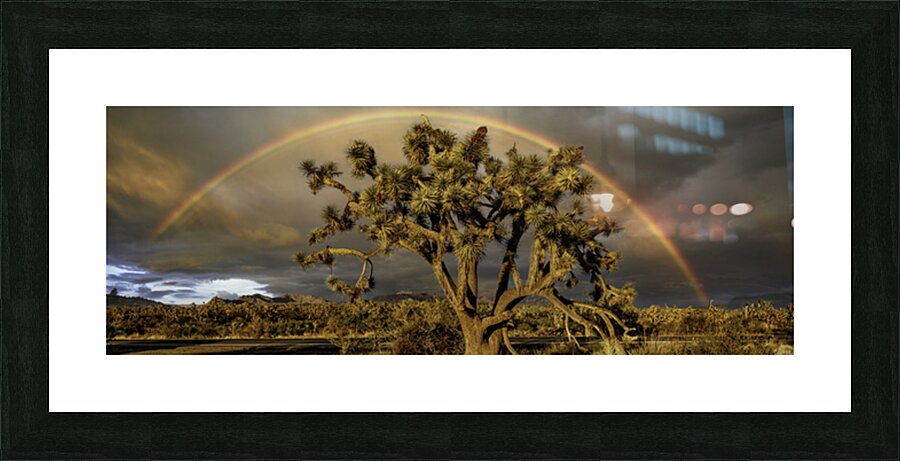 Joshua Tree Forest Picture Frame print