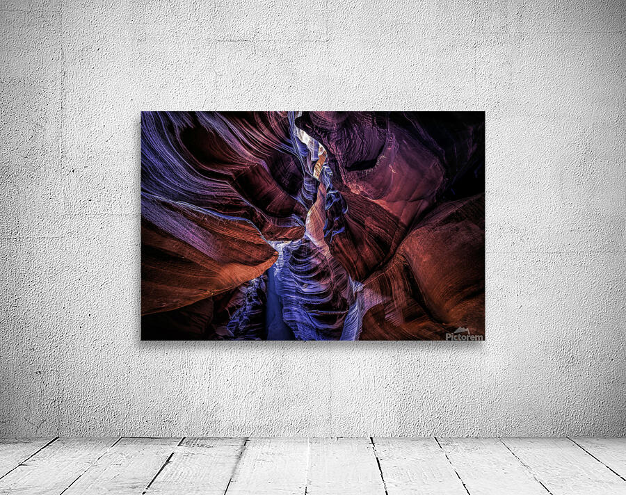 Antelope 14 Wall Preview