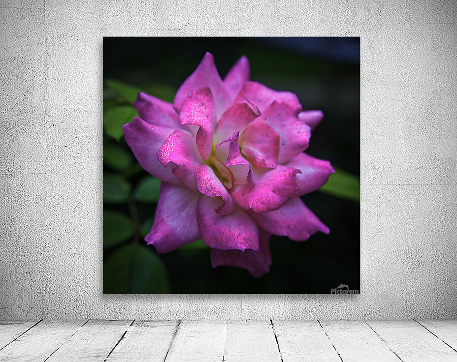 Flower 22 Wall Preview