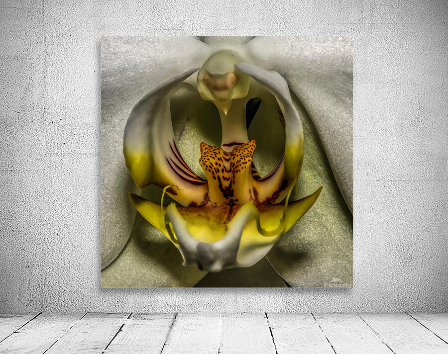 Flower 23 Wall Preview