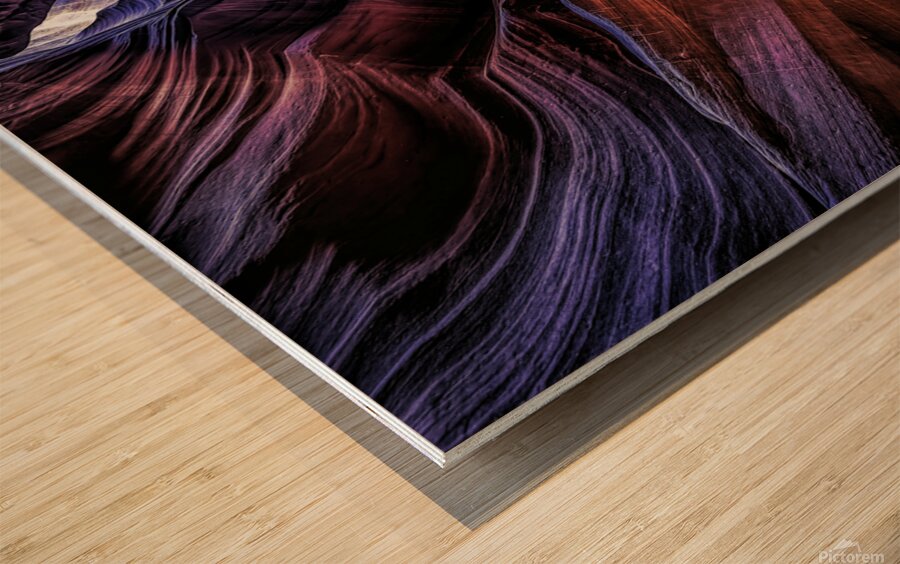 Antelope 14 Wood print