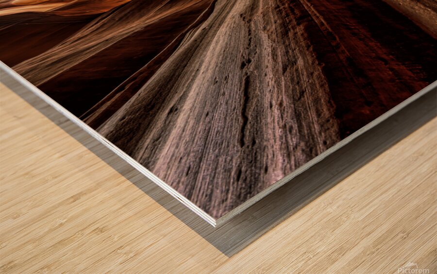 Antelope 4 Wood print