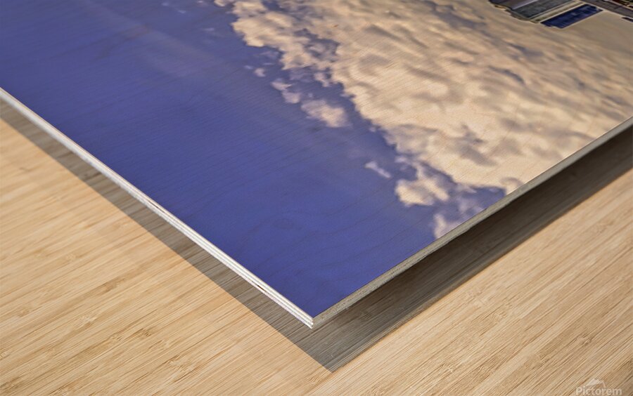 Chicago Skyline 2 Wood print