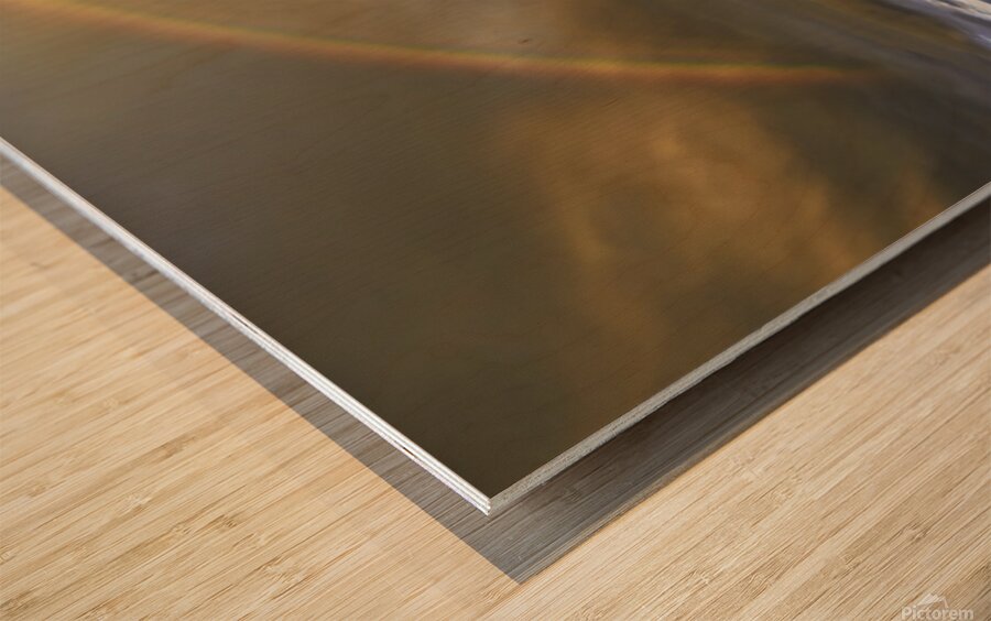 Joshua Tree Forest Wood print