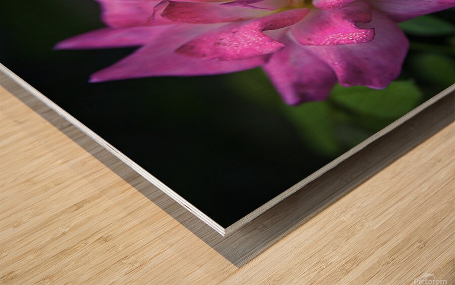 Flower 22 Wood print