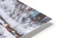 Polar Bear HD Metal print