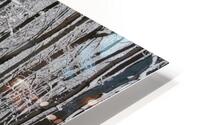 Winter Birches HD Metal print
