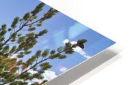 Bryce Canyon HD Metal print