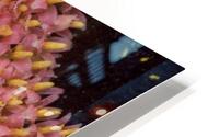 Flower Droplets HD Metal print