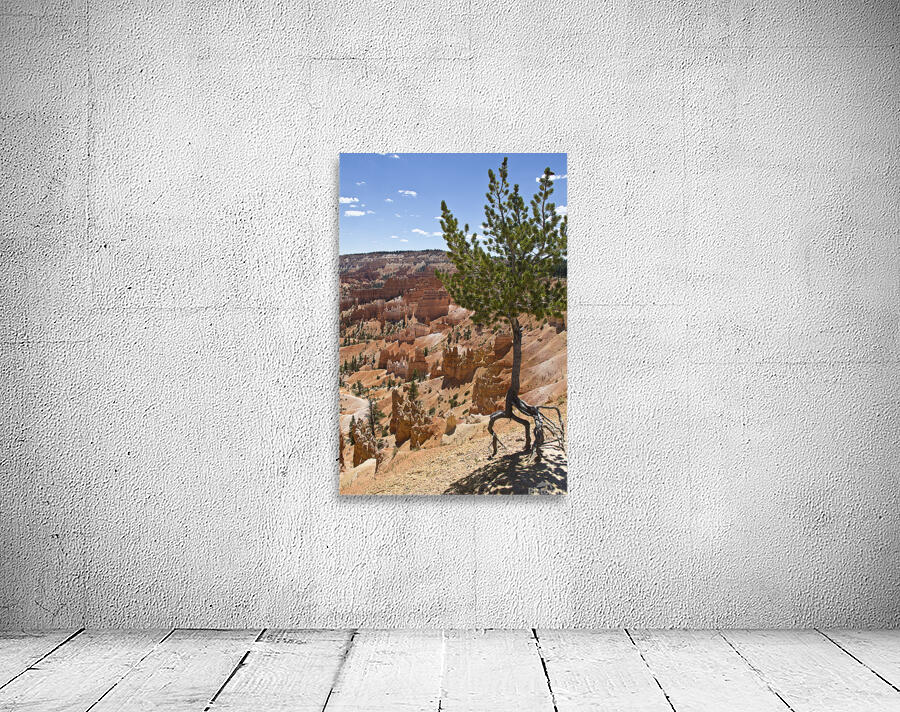 Bryce Canyon Wall Preview