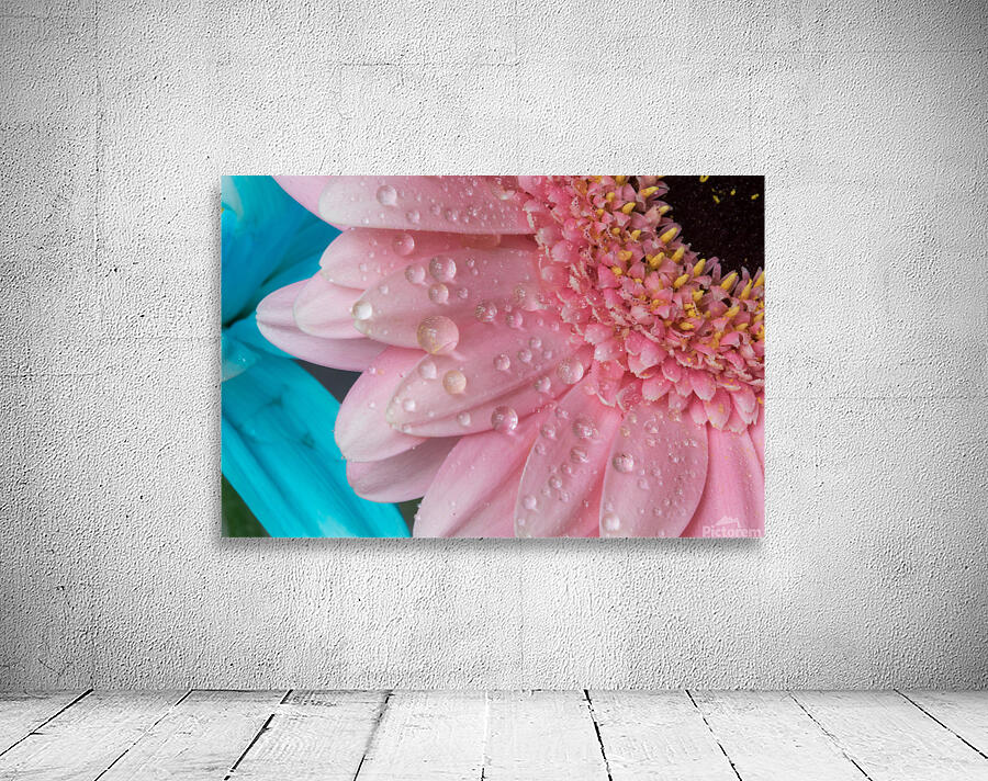 Flower Droplets Wall Preview