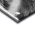 Dark Daze Acrylic print