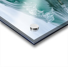 ACRYLIC Acrylic print