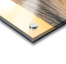 BELIEVE Acrylic print