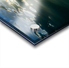 Ascend  Acrylic print