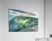 Fur Acrylic Print