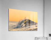 APOLLO Acrylic Print