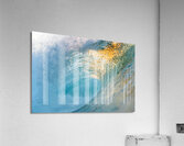 CITRUS Acrylic Print