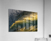 COSMOS Acrylic Print