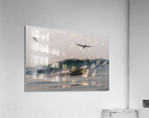 SILVER WINGS Acrylic Print