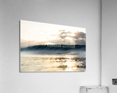 Blissful  Acrylic Print