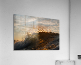 Feather Acrylic Print