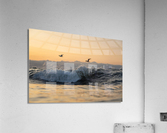 Wings Acrylic Print