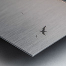 SILVER WINGS Metal print