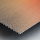 Sun Catcher Metal print