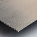 Outworld Metal print