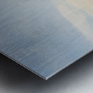 Apex Metal print