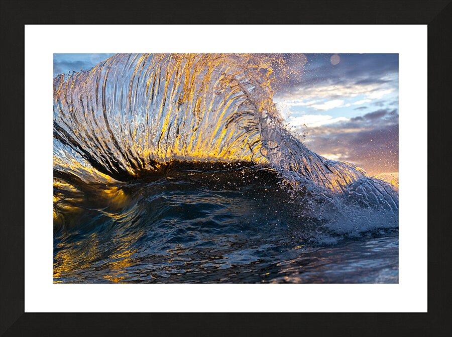 Lion Fish Impression et Cadre photo