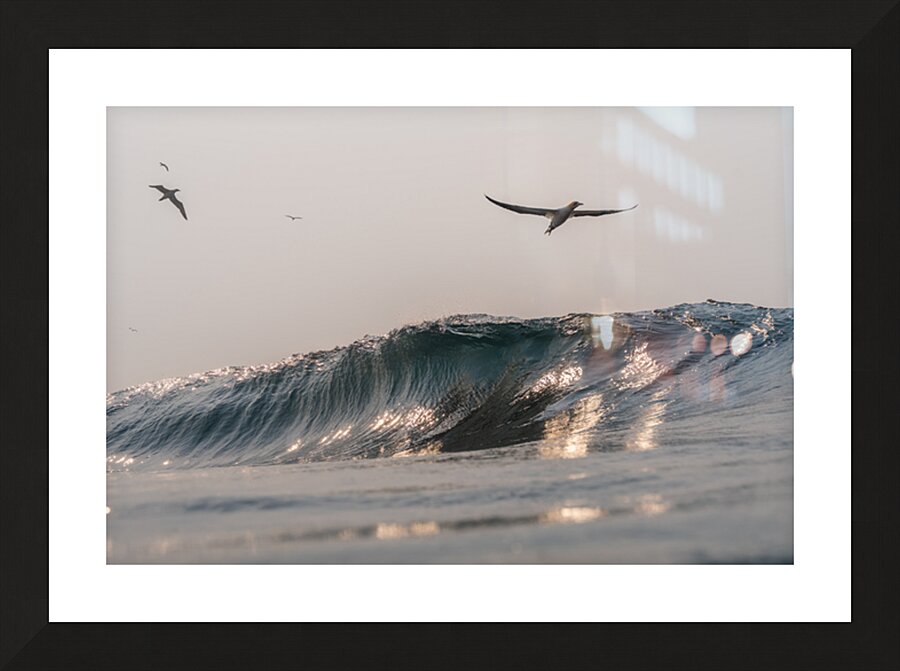 SILVER WINGS Picture Frame print