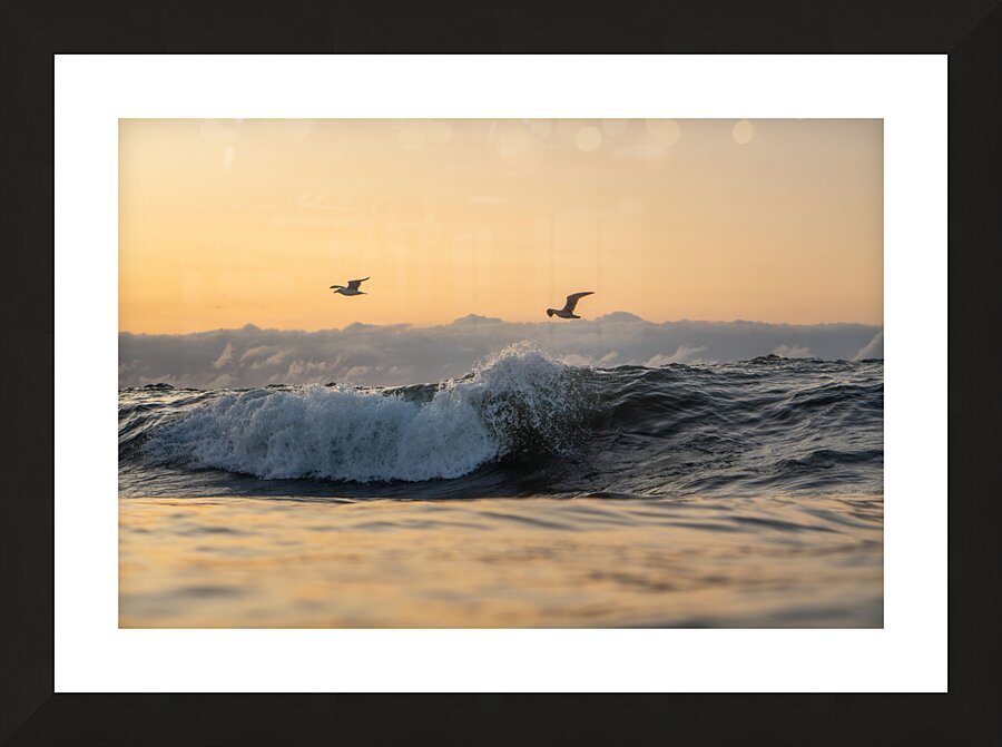 Wings Picture Frame print