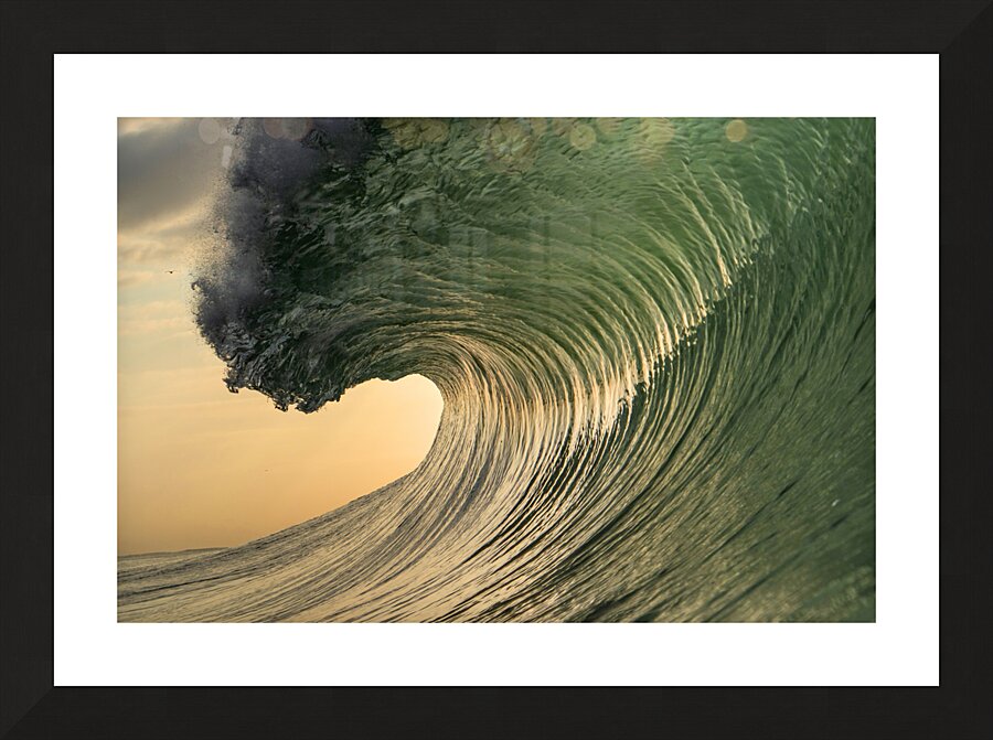 Wisdom Picture Frame print