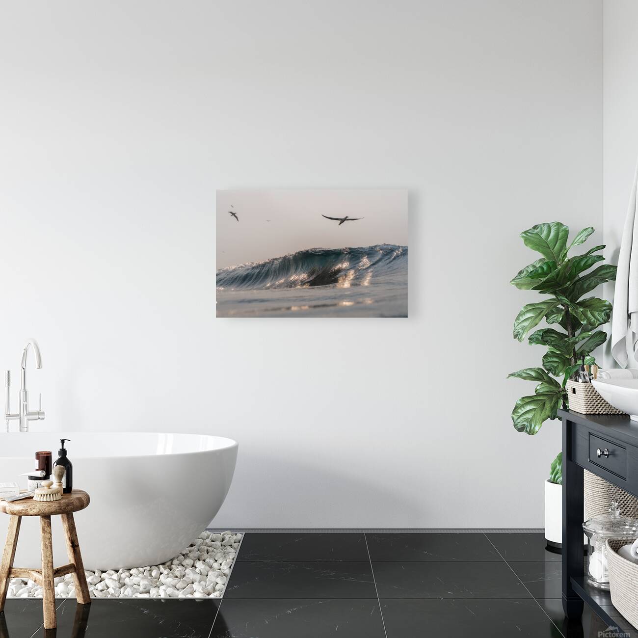 SILVER WINGS Reproduction