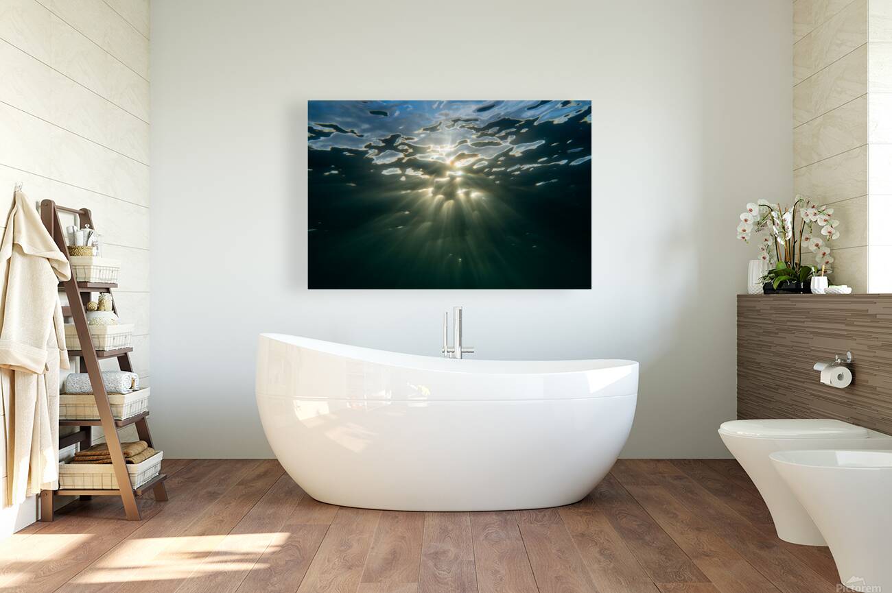 Ascend  Reproduction