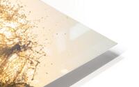 FORCE FIELD Impression metal HD