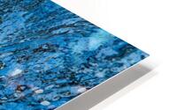Leopard Blue HD Metal print