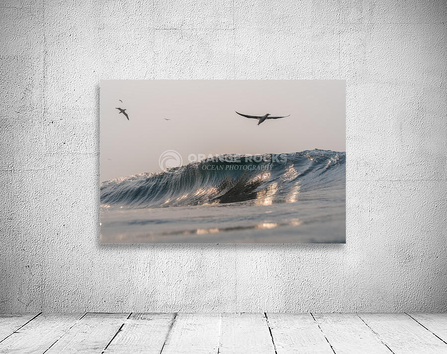 SILVER WINGS Wall Preview