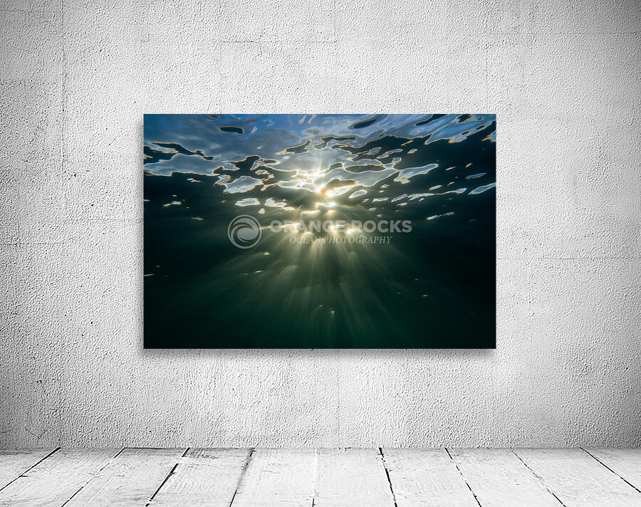 Ascend  Wall Preview