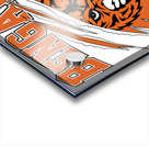 Cincinnati Bengals 7 Acrylic print