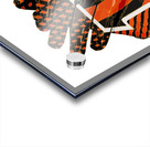 Cincinnati Bengals 23 Acrylic print