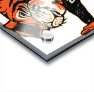 Cincinnati Bengals 24 Acrylic print