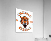 Cincinnati Bengals 1 Acrylic Print
