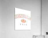 Cincinnati Bengals 5 Acrylic Print